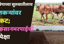 खरिपाच्या सुरुवातीलाच शेतकऱ्यांवर संकट; नुकसानभरपाईची अपेक्षा