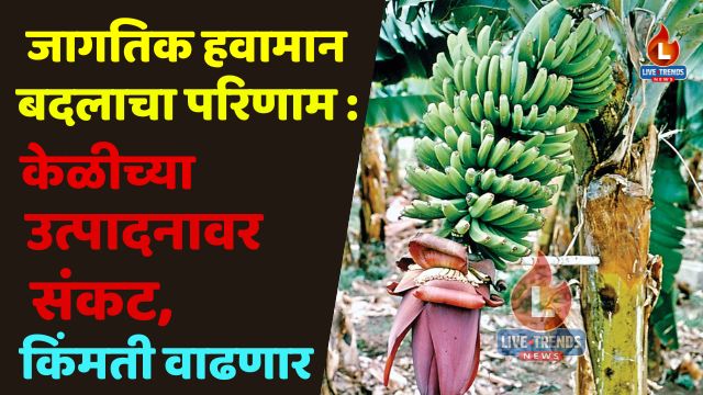 Ramsing - 2025-08-20T181514.122