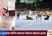 मोकाट कुत्र्यांचा मॉर्निंग वॉकला गेलेल्या प्रौढावर हल्ला; महापालिकेवर संताप व्यक्त