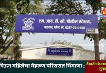 दारू पिऊन महिलेचा मेहरूण परिसरात धिंगाणा; गैरवर्तन केल्याप्रकरणी गुन्हा दाखल