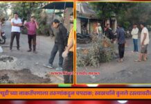 पीडब्ल्यूडी’च्या नाकर्तेपणाला तरूणांकडून चपराक; स्वखर्चाने बुजले रस्त्यावरील खड्डे !