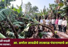 अवकाळी वादळी पावसाचा तडाखा ; आ. अमोल जावळेंचे तात्काळ पंचनाम्याचे आदेश