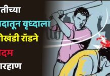 शेतीच्या वादातून वृध्दाला लोखंडी रॉडने बेदम मारहाण