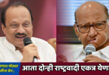 राजकारणात मोठ्या हालचालींना वेग ; आता दोन्ही राष्ट्रवादी एकत्र येणार?