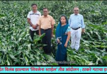 भरपाईत विलंब झाल्यास ‘शिवसेना स्टाईल’ तीव्र आंदोलन ; ठाकरे गटाचा इशारा