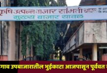 किनगाव उपबाजारातील भुईकाटा आजपासून पूर्ववत सुरू