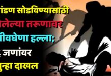 भांडण सोडविण्यासाठी गेलेल्या तरूणावर जीवघेणा हल्ला ; ६ जणांवर गुन्हा दाखल