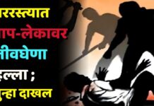 भररस्त्यात बाप-लेकावर जीवघेणा हल्ला ; गुन्हा दाखल