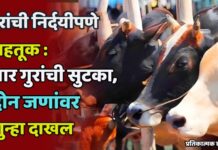गुरांची निर्दयीपणे वाहतूक : चार गुरांची सुटका, दोन जणांवर गुन्हा दाखल