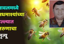 यावलमध्ये मधमाश्यांच्या हल्ल्यात तरुणाचा मृत्यू