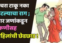 कचरा टाकू नका म्हटल्याचा राग ; चार जणांकडून तरूणीसह महिलांची छेडछाड !