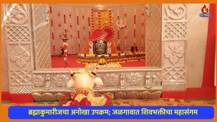 WhatsApp Image 2026-02-14 at 4.13.30 PM