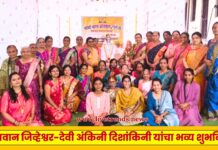 साळीमाता प्रतिष्ठानतर्फे भगवान जिव्हेश्वर-देवी व अंकिनी दिशांकिनी यांचा भव्य शुभविवाह