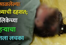 पिसाळलेल्या कुत्र्याची दहशत; बालिकेच्या चेहऱ्याचा घेतला लचका