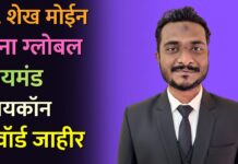 प्रा. शेख मोईन यांना ग्लोबल डायमंड आयकॉन अवॉर्ड जाहीर