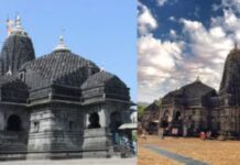 महाशिवरात्रीला त्र्यंबकेश्वरमध्ये ‘व्हीआयपी’ दर्शन बंद; देवस्थान ट्रस्टचा मोठा निर्णय