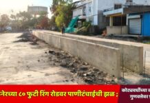 अमळनेरच्या ८० फुटी रिंग रोडवर पाणीटंचाईची झळ ; कोट्यवधींच्या कामाच्या गुणवत्तेवर प्रश्नचिन्ह