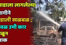 झाडाला लागलेल्या आगीने उडाली खळबळ ; जवळ उभी कार जळून खाक