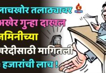 लाचखोर तलाठ्यावर अखेर गुन्हा दाखल : जमिनीच्या खरेदीसाठी मागितली ५ हजारांची लाच !