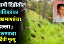 पायी दिंडीतील भाविकांवर मधमाशांचा हल्ला ; तरुणाचा दुर्दैवी मृत्यू