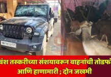 गोवंश तस्करीच्या संशयावरून वाहनांची तोडफोड आणि हाणामारी ; दोन जखमी