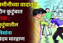 जमीनीच्या वादातून दोन कुटुंबात राडा ; कुटुंबातील तिघांना बेदम मारहाण
