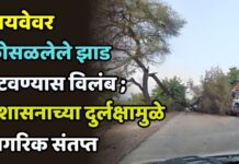 हायवेवर कोसळलेले झाड हटवण्यास विलंब ; प्रशासनाच्या दुर्लक्षामुळे नागरिक संतप्त