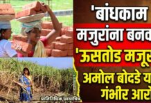 बांधकाम मजुरांना बनवले ‘ऊसतोड मजूर’, अमोल बोदडे यांचा गंभीर आरोप