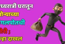 मध्यरात्री घरातून सोन्याच्या मंगलपोतची चोरी ; गुन्हा दाखल