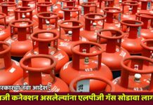 केंद्र सरकारचा नवा आदेश ; पीएनजी कनेक्शन असलेल्यांना एलपीजी गॅस सोडावा लागणार