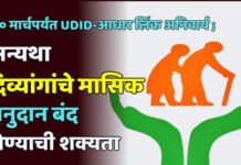 २० मार्चपर्यंत UDID-आधार लिंक अनिवार्य ; अन्यथा दिव्यांगांचे मासिक अनुदान बंद होण्याची शक्यता