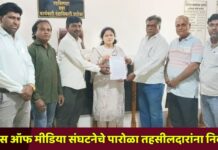 व्हॉईस ऑफ मीडिया संघटनेचे पारोळा तहसीलदारांना निवेदन