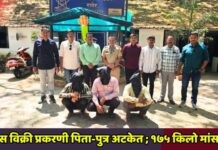 गोमांस विक्री प्रकरणी पिता-पुत्र अटकेत ; १७५ किलो मांस जप्त