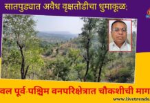 सातपुड्यात अवैध वृक्षतोडीचा धुमाकूळ; यावल पूर्व-पश्चिम वनपरिक्षेत्रात चौकशीची मागणी