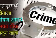 शहापूरमध्ये शेताला भीषण आग ; मका पीक जळून खाक