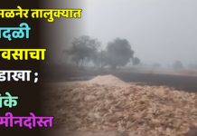 अमळनेर तालुक्यात वादळी पावसाचा तडाखा ; पिके जमीनदोस्त