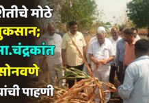 शेतीचे मोठे नुकसान ; आमदार चंद्रकांत सोनवणे यांची पाहणी