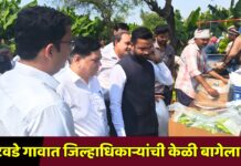 आटवडे गावात जिल्हाधिकाऱ्यांची केळी बागेला भेट