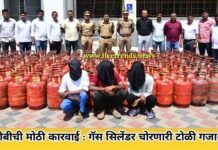 एलसीबीची मोठी कारवाई : गॅस सिलेंडर चोरणारी टोळी गजाआड !