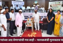 शेतकऱ्यांच्या आड येणाऱ्यांची गय नाही – पालकमंत्री गुलाबराव पाटील