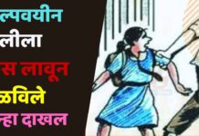 अल्पवयीन मुलीला फूस लावून पळविले ; अपहरणाचा गुन्हा दाखल