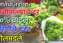 जळगावात उष्णतेचा तडाखा : भाजीपाल्याचे दर ५०% वाढले, गृहिणींचे बजेट कोलमडले