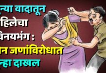 जुन्या वादातून महिलेचा विनयभंग : दोन जणांविरोधात गुन्हा दाखल