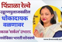 पिंप्राळा रेल्वे उड्डाणपुलाजवळील धोकादायक वळणावर तत्काळ ‘सर्कल’ उभारा; नगरसेविका भारती सोनवणे