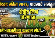 भेंडवड संकेत २०२६: पावसाचे असंतुलन; शेतीत मिश्र परिणाम, ज्वारी-बाजरीला उज्ज्वल संधी