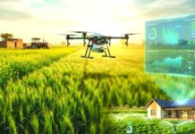 एआय क्रांतीची शेतीत एंट्री! ‘कृषीबडी’मुळे शेतकऱ्यांचे निर्णय होणार स्मार्ट !