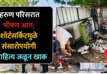 मेहरुण परिसरात भीषण आग; शॉर्टसर्किटमुळे संसारोपयोगी साहित्य जळून खाक