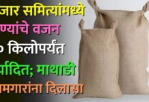 बाजार समित्यांमध्ये गोण्यांचे वजन ५० किलोपर्यंत मर्यादित; माथाडी कामगारांना दिलासा
