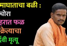 उष्माघाताचा बळी : पाचोरा शहरात फळ विक्रेत्याचा दुर्दैवी मृत्यू