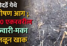 बोदर्डे येथे भीषण आग ; 10 एकरवरील ज्वारी-मका जळून खाक